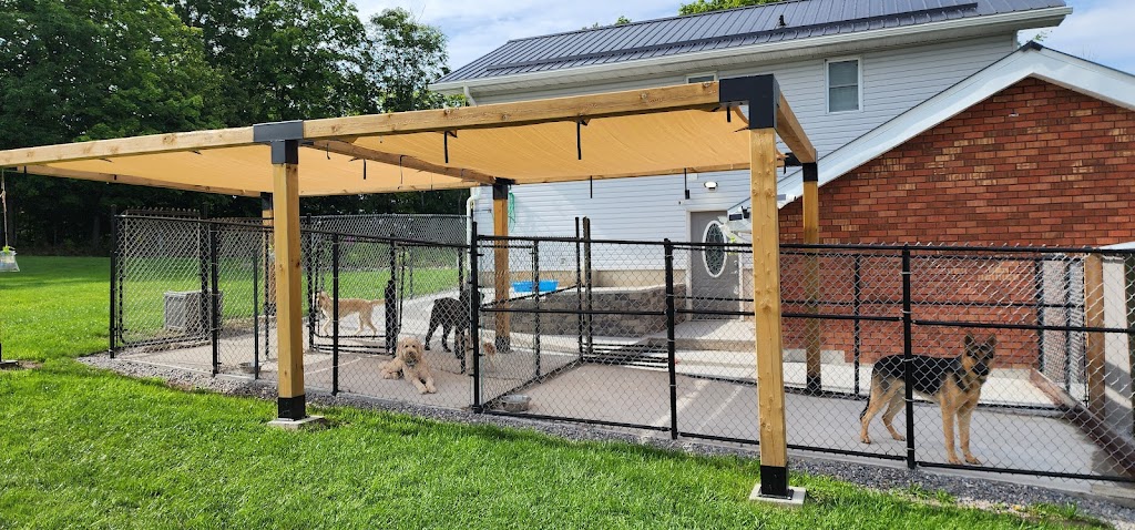 My Bark Avenue Academy | 728 Darling Rd, Warkworth, ON K0K 3K0, Canada | Phone: (289) 688-0681
