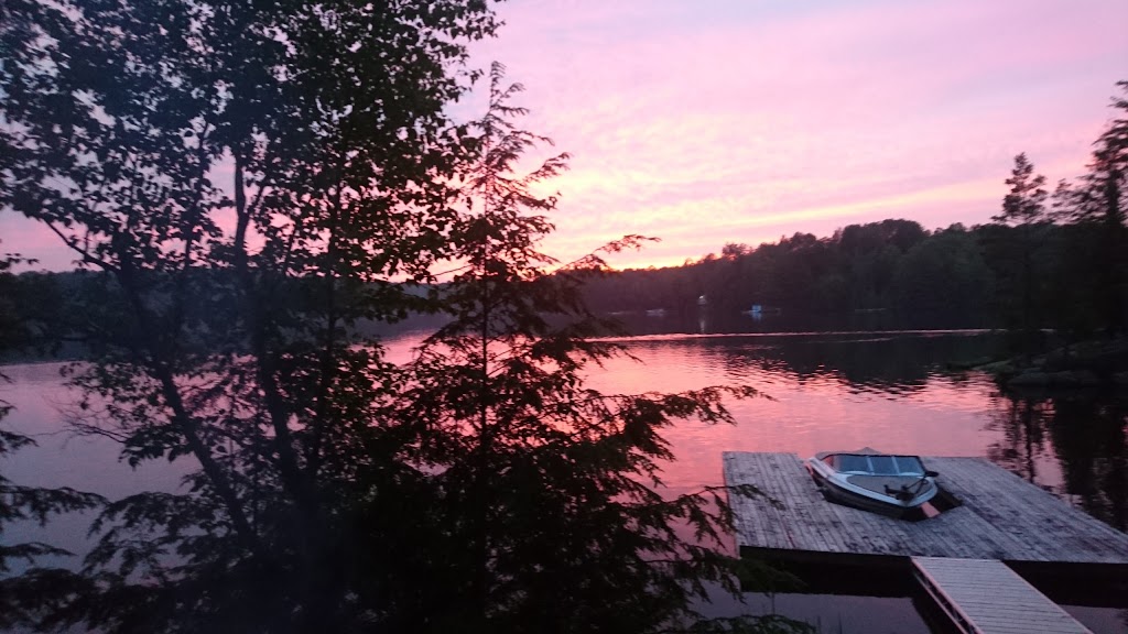 Gilmour Bay Marina | 85 Renwick Rd, Apsley, ON K0L 1A0, Canada | Phone: (705) 656-3392