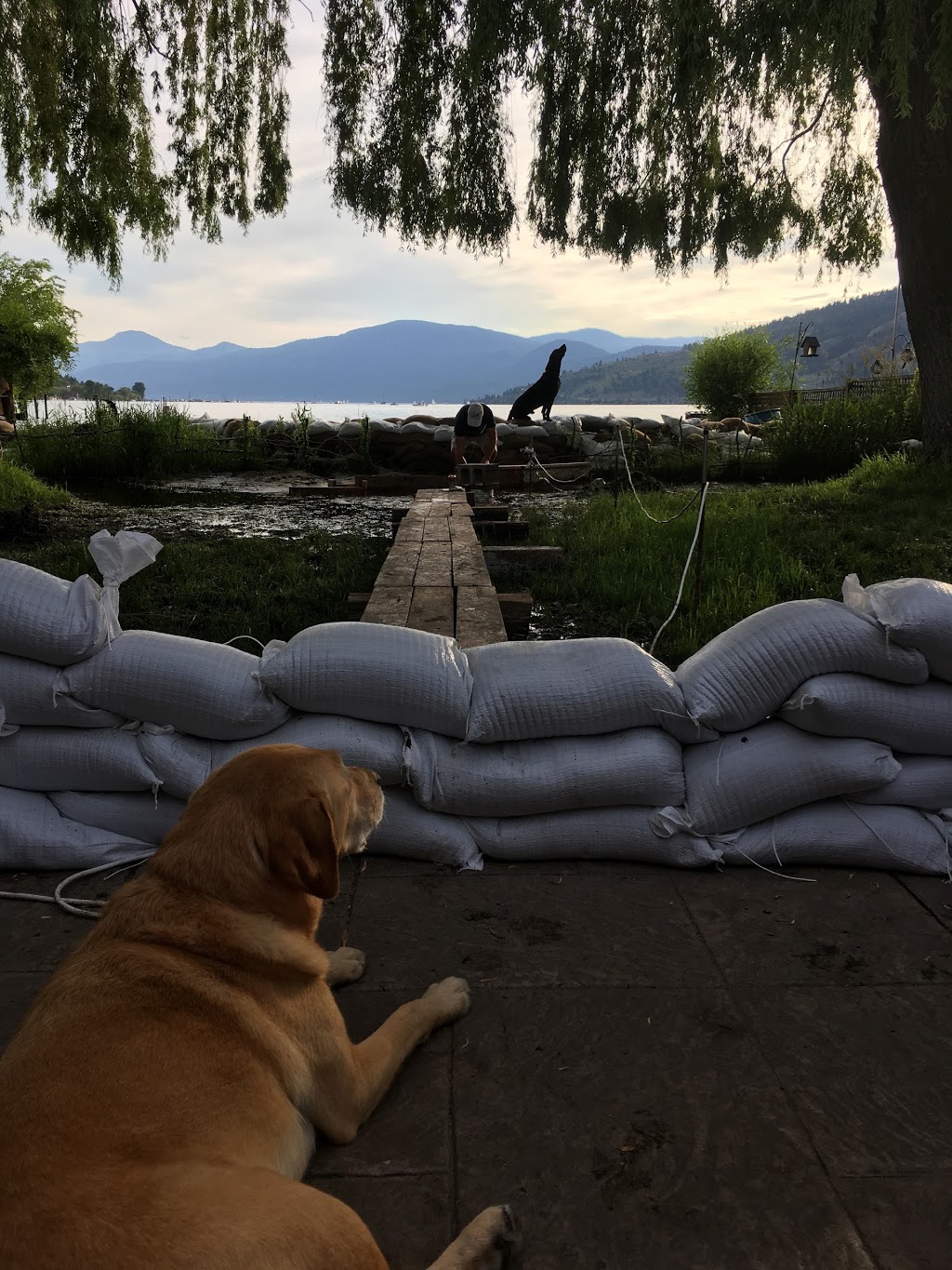 Lakeshore Paradise Bed And Breakfast | 2664 Lakeshore Rd, Vernon, BC V1H 1N1, Canada | Phone: (250) 260-6775