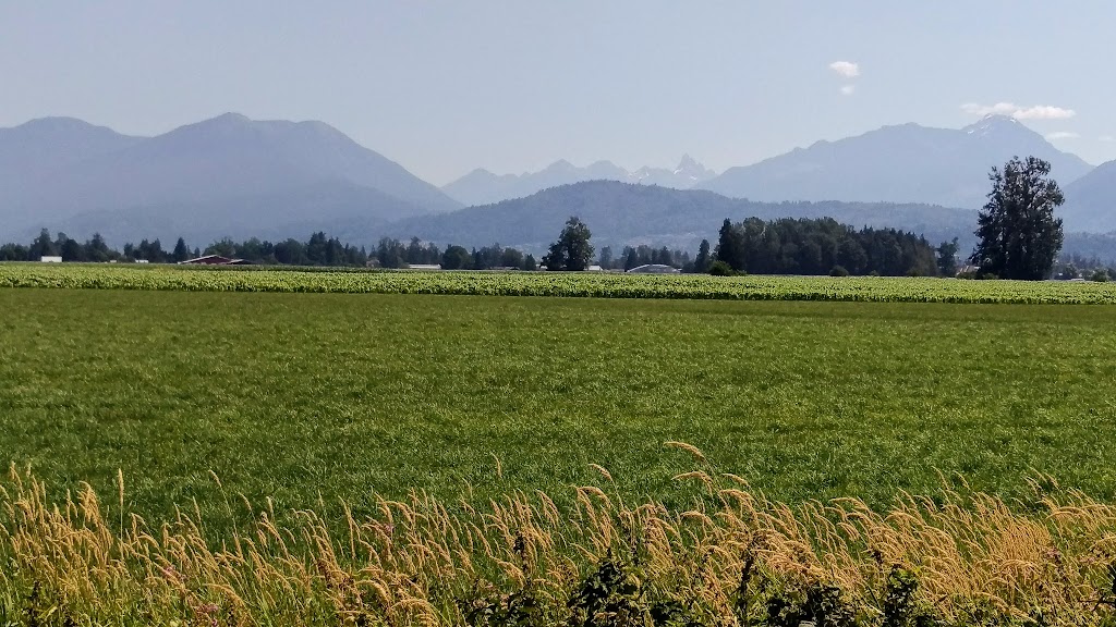 BC SPCA Chilliwack Community Animal Centre | 6797 Hopedale Rd, Chilliwack, BC V2R 4L4, Canada | Phone: (604) 823-6612