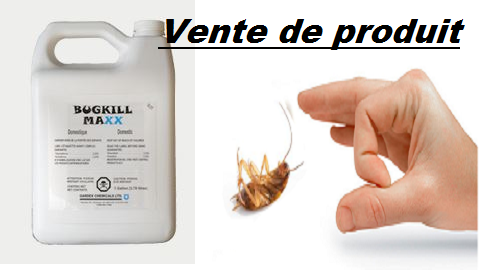 Groupe AZ Extermination | Laval, QC H7C 1E6, Canada | Phone: (450) 661-7600