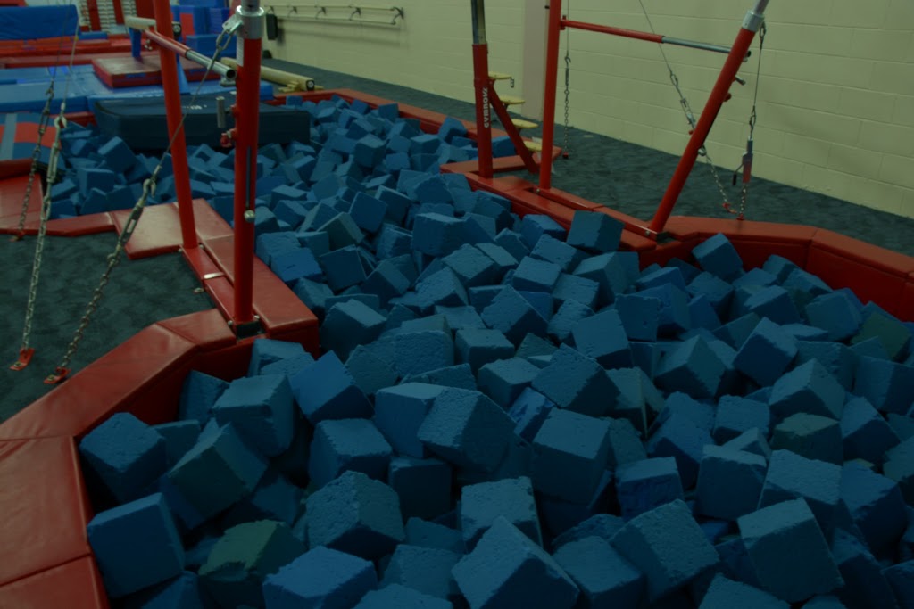 Guelph Saultos Gymnastics | 377 College Ave W, Guelph, ON N1G 4T4, Canada | Phone: (519) 837-3335