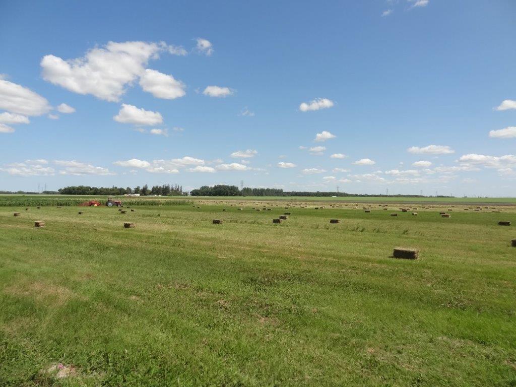 Little Mountain Farm | Sturgeon Rd, Rosser, MB R0C 3A0, Canada | Phone: (204) 632-8248