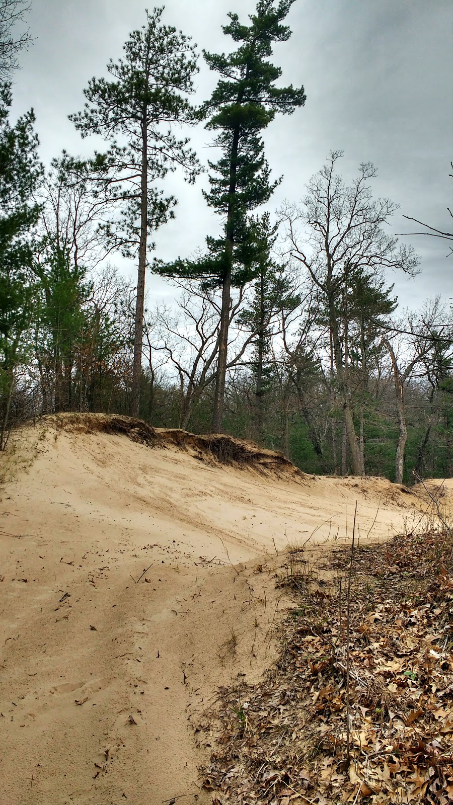 Karner Blue Sanctuary | 9900 Nipigon St, Port Franks, ON N0M 2L0, Canada