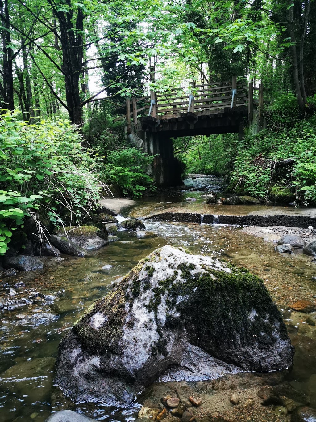 Burnaby Cariboo RV Park and Campgrounds Vancouver | 8765 Cariboo Pl, Burnaby, BC V3N 4T2, Canada | Phone: (604) 420-1722