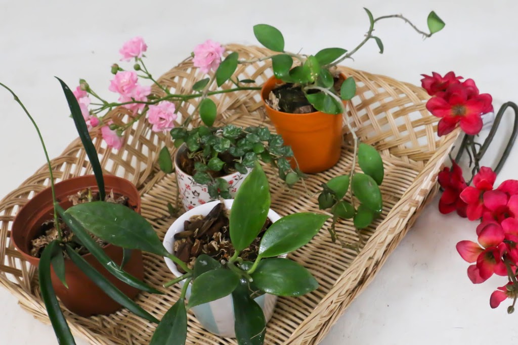 fleur-de-suzanna | Ingrid Dr, Toronto, ON M1G 3A5, Canada | Phone: (647) 545-7732