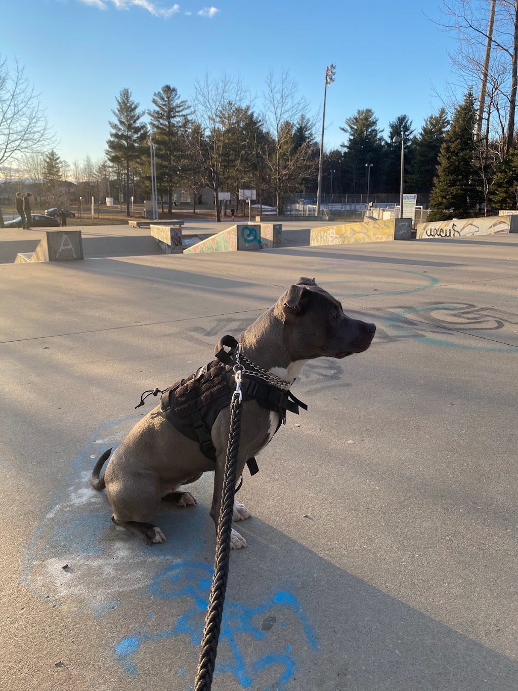 Skatepark Blainville | 1278 Bd Céloron, Blainville, QC J7C 5A8, Canada | Phone: (450) 434-5390