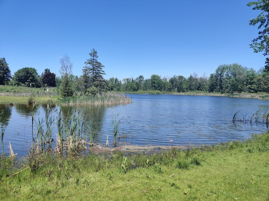 Lovers Creek | 2870 7th Line, Innisfil, ON L9S 4H6, Canada | Phone: (705) 436-3710