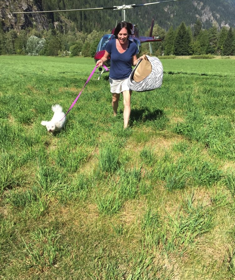 Shuswap Pet Resort | 2170 Cambie Solsqua Rd, Sicamous, BC V0E 2V5, Canada | Phone: (250) 253-3155