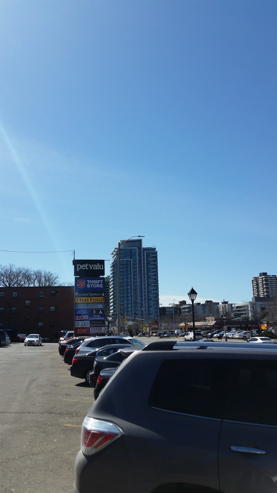 Pet Valu | 195 Lakeshore Rd E, Mississauga, ON L5G 1G2, Canada | Phone: (905) 274-8774