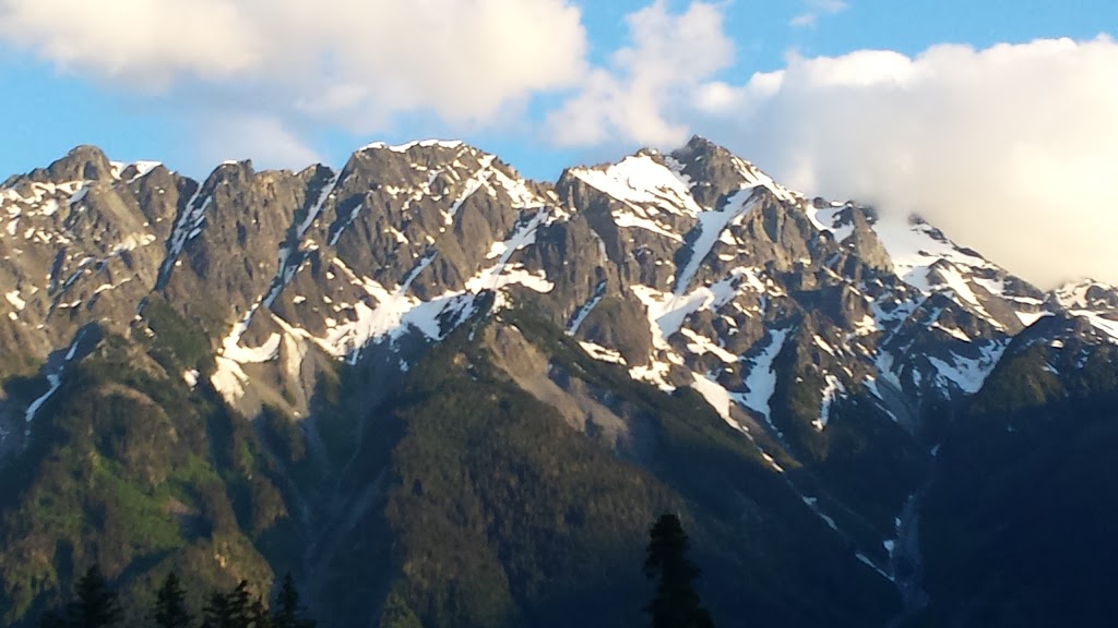 B-Line Marketing Management | 2027 Tiyata Blvd, Pemberton, BC V0N 2L0, Canada | Phone: (604) 905-8017
