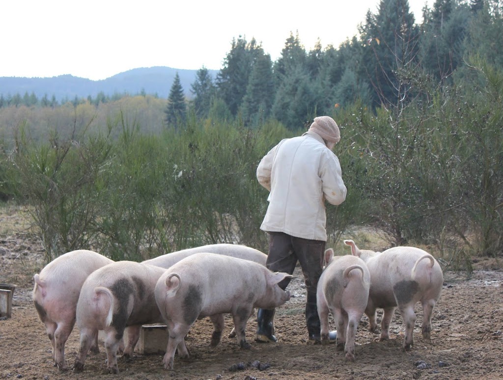 Waterloo Farms | 8282 Chemainus Rd, Chemainus, BC V0R 1K0, Canada | Phone: (250) 732-7699