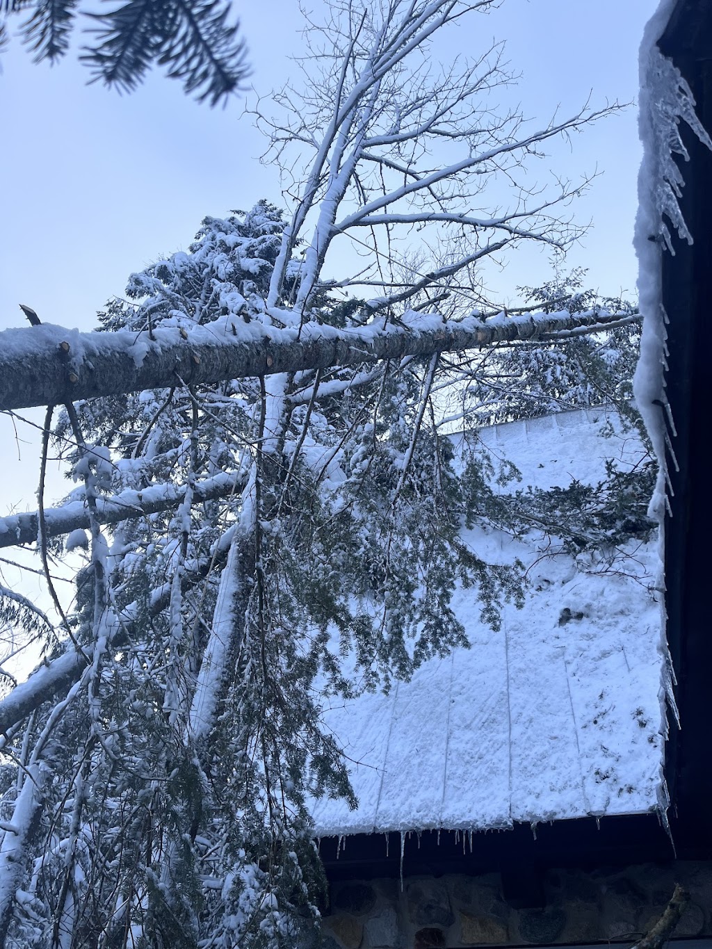 Arboriculture St-Germain | 1296 Rang Saint-Achille, Saint-Ubalde, QC G0A 4L0, Canada | Phone: (418) 326-0517
