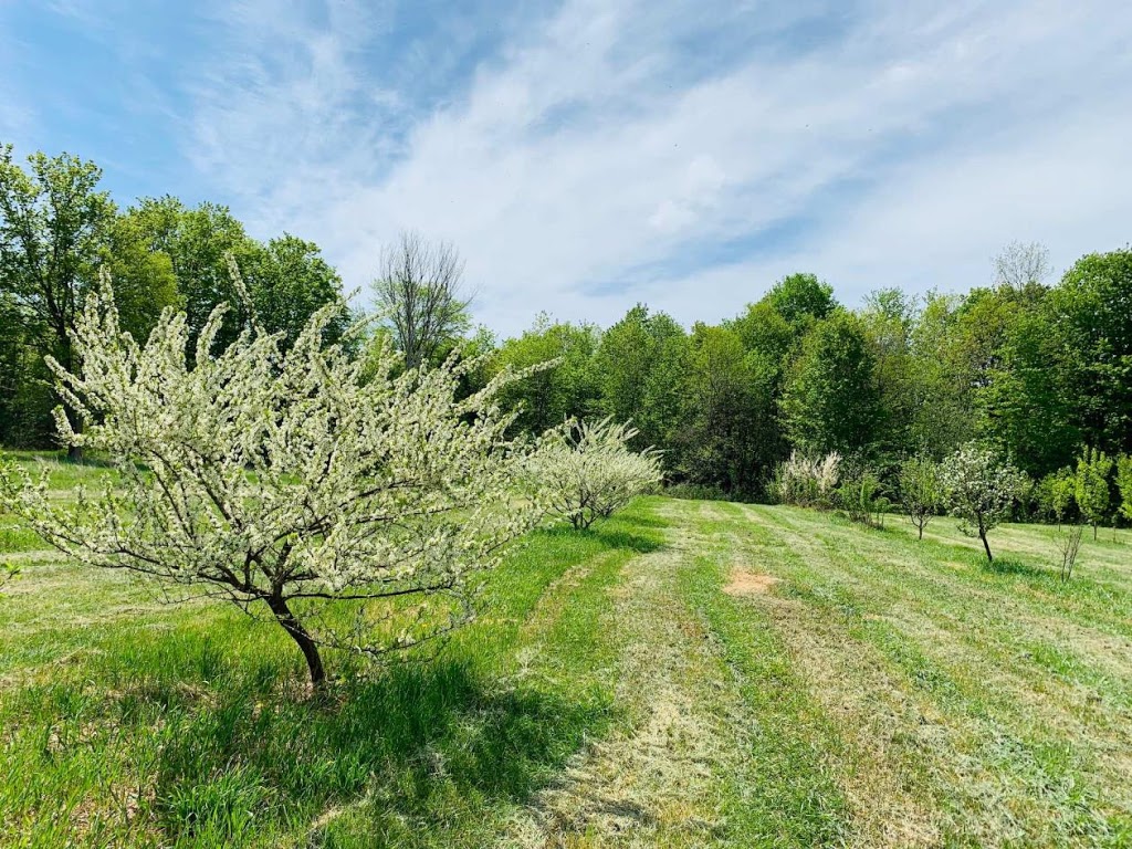 Awesome Blossom Organic Orchard | 3651 4e Rang, Sainte-Justine-de-Newton, QC J0P 1T0, Canada | Phone: (514) 867-0760