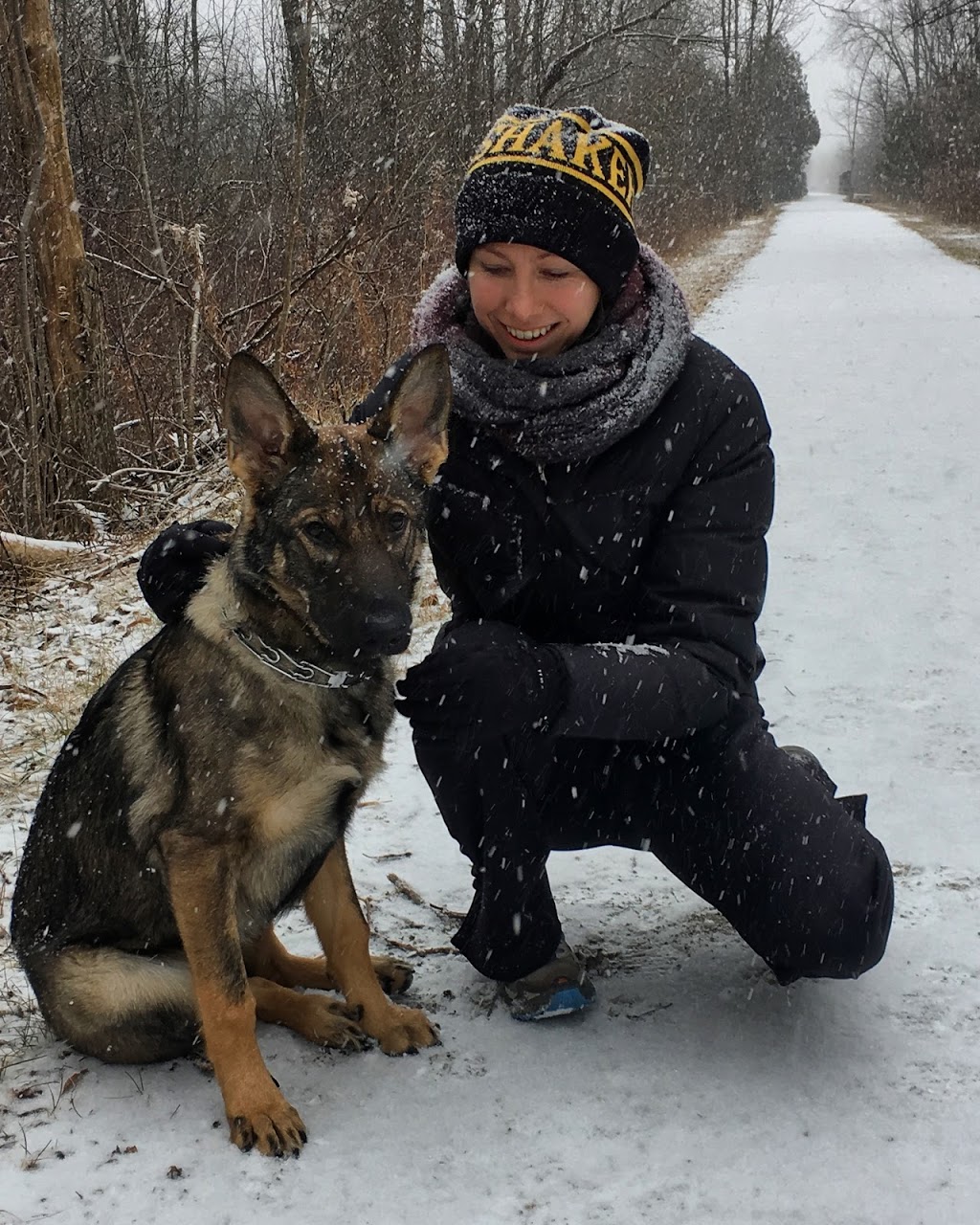 Von Rothhaus German Shepherds | 45421 Spencetown Rd, Fordwich, ON N0G 1V0, Canada | Phone: (519) 291-8222