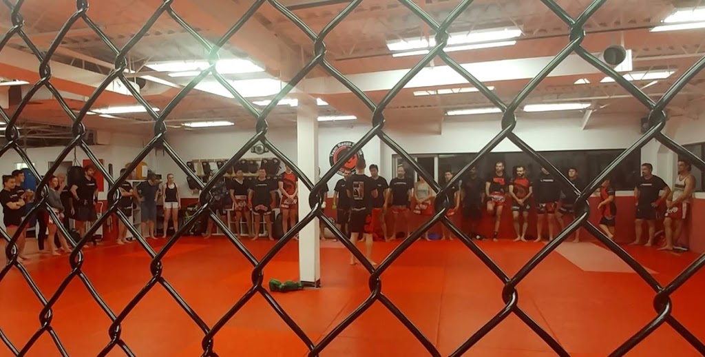 Kanata Academy of Martial Arts | 444 Hazeldean Rd, Kanata, ON K1L 1V2, Canada | Phone: (613) 831-7900