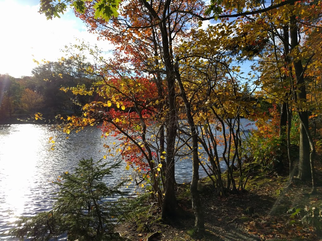Oat Hill Lake Park | Dartmouth, NS B2Y, Canada