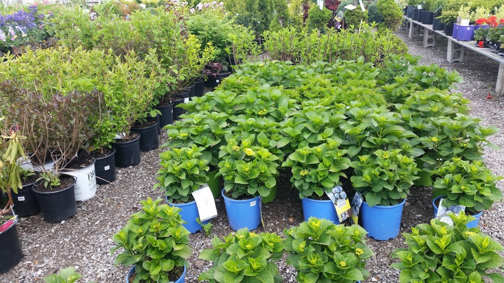 Nature lovers greenhouses | 906 RR 20, Fenwick, ON L0S 1C0, Canada | Phone: (647) 964-3748