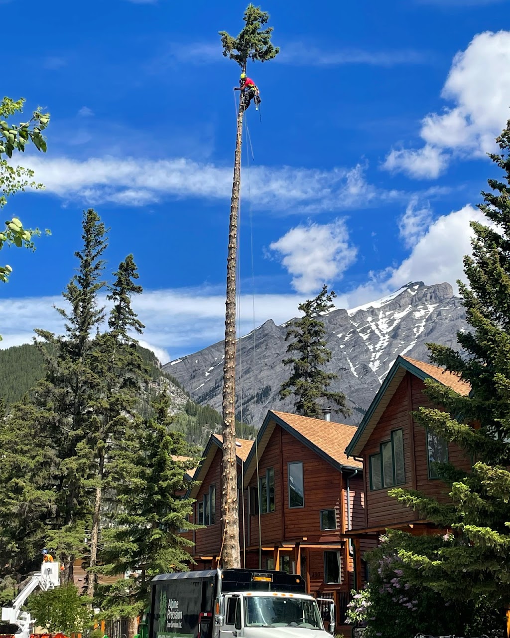 Alpine Precision Tree Services Ltd. | Unit 11, #1 Cougar Mountain Cres, Exshaw, AB T0L 2C0, Canada | Phone: (403) 678-7312