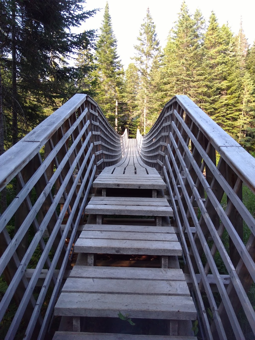 Kabania | 2244 Chemin du Grand Duc, Notre-Dame-de-la-Merci, QC J0T 2A0, Canada | Phone: (844) 522-2642