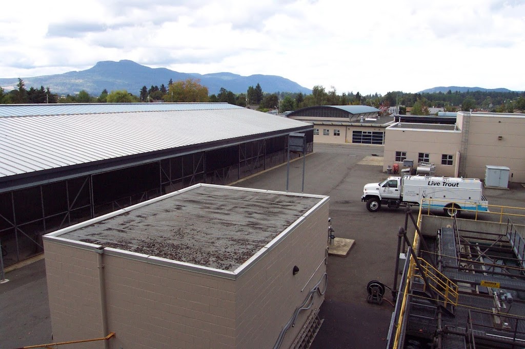 Vancouver Island Trout Hatchery | 1080 Wharncliffe Rd, Duncan, BC V9L 2K7, Canada | Phone: (250) 746-5180