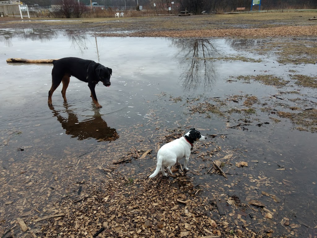 Pottersburg Off Leash Dog Park | Pottersburg-FIDO Off-leash Area, London, ON N5W 1B1, Canada | Phone: (519) 661-2489