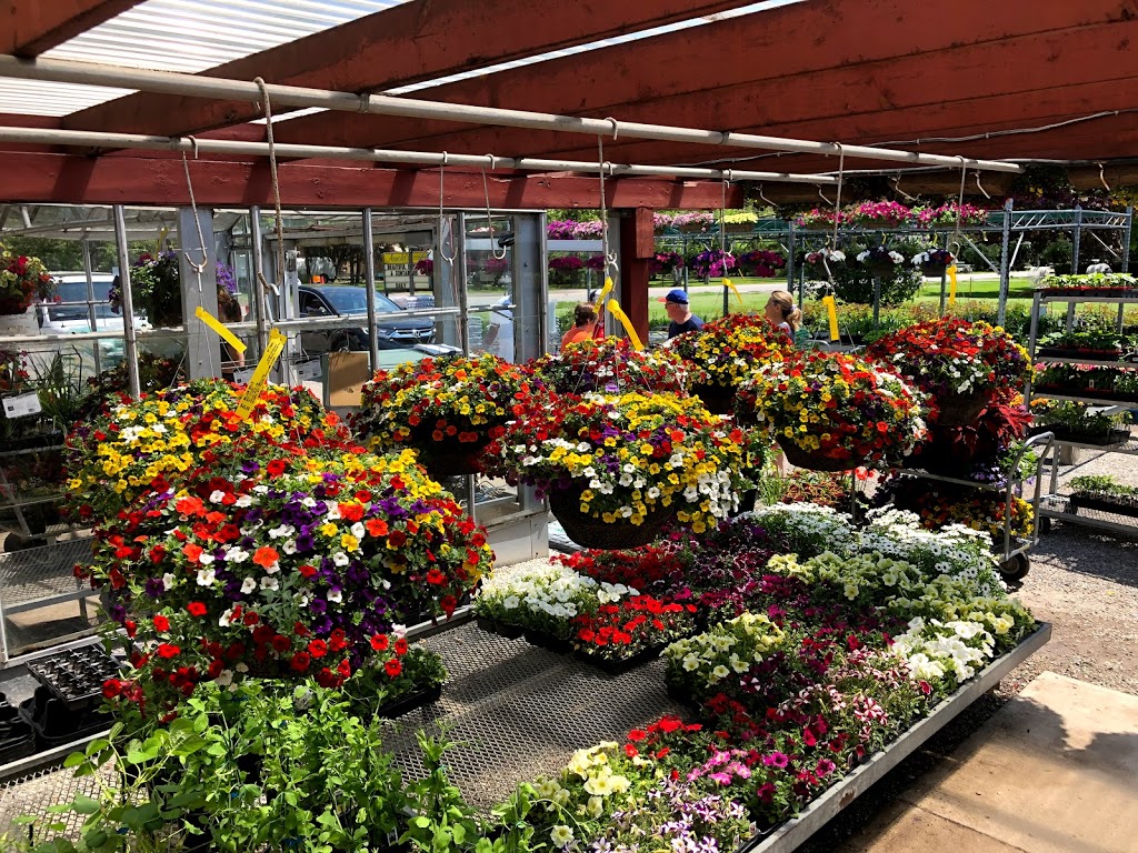Arnolds Greenhouses | 9774 Winston Churchill Blvd, Norval, ON L0P 1K0, Canada | Phone: (905) 455-8382