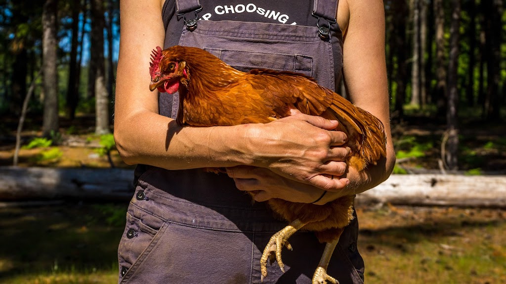 Smith Lake Farm | 1481 Larkin Rd, Black Creek, BC V9J 1G2, Canada | Phone: (250) 218-3459