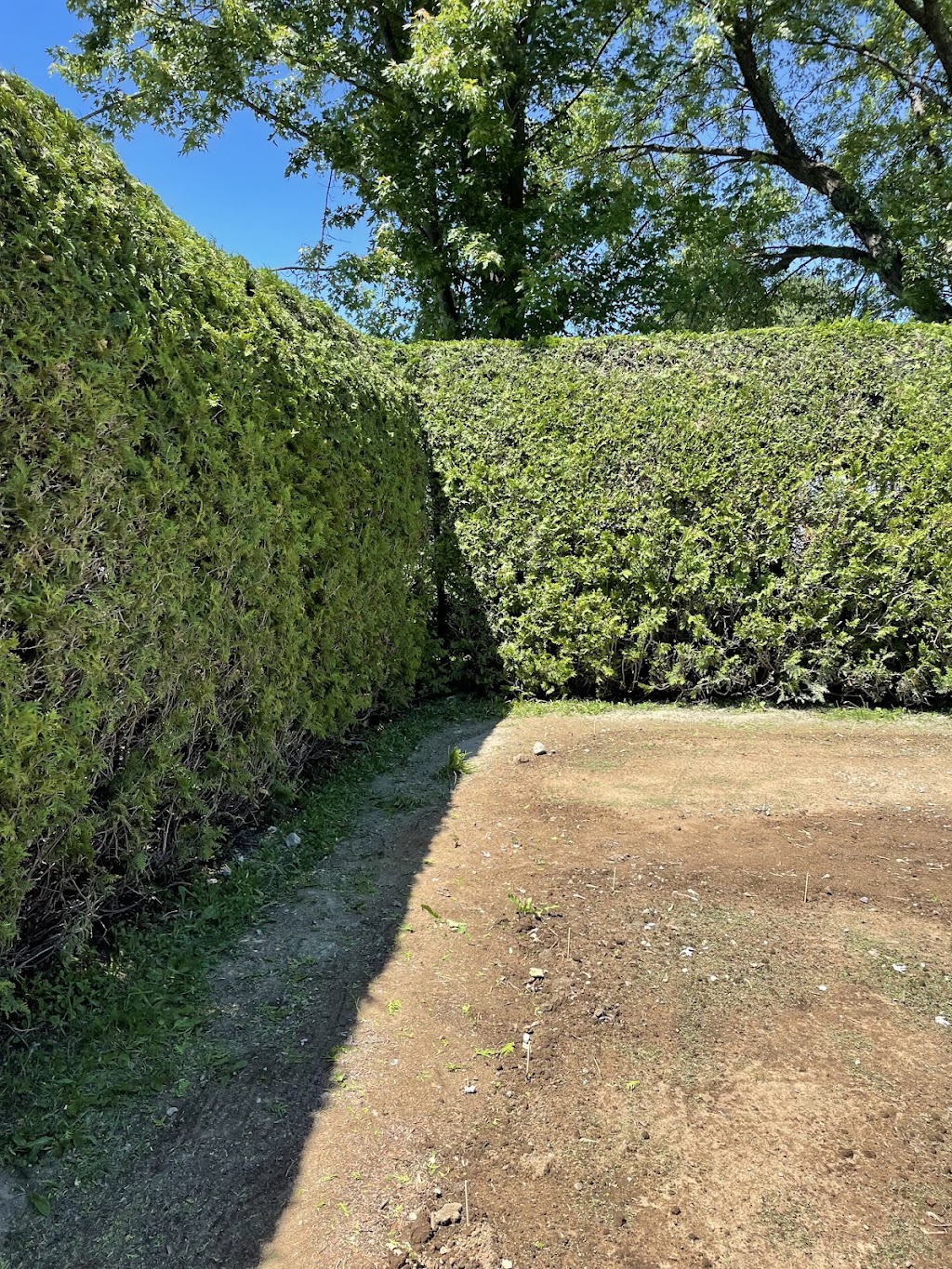 Arboriculture leforestier | 1041 Rang St Pierre, Hérouxville, QC G0X 1J0, Canada | Phone: (819) 383-4066