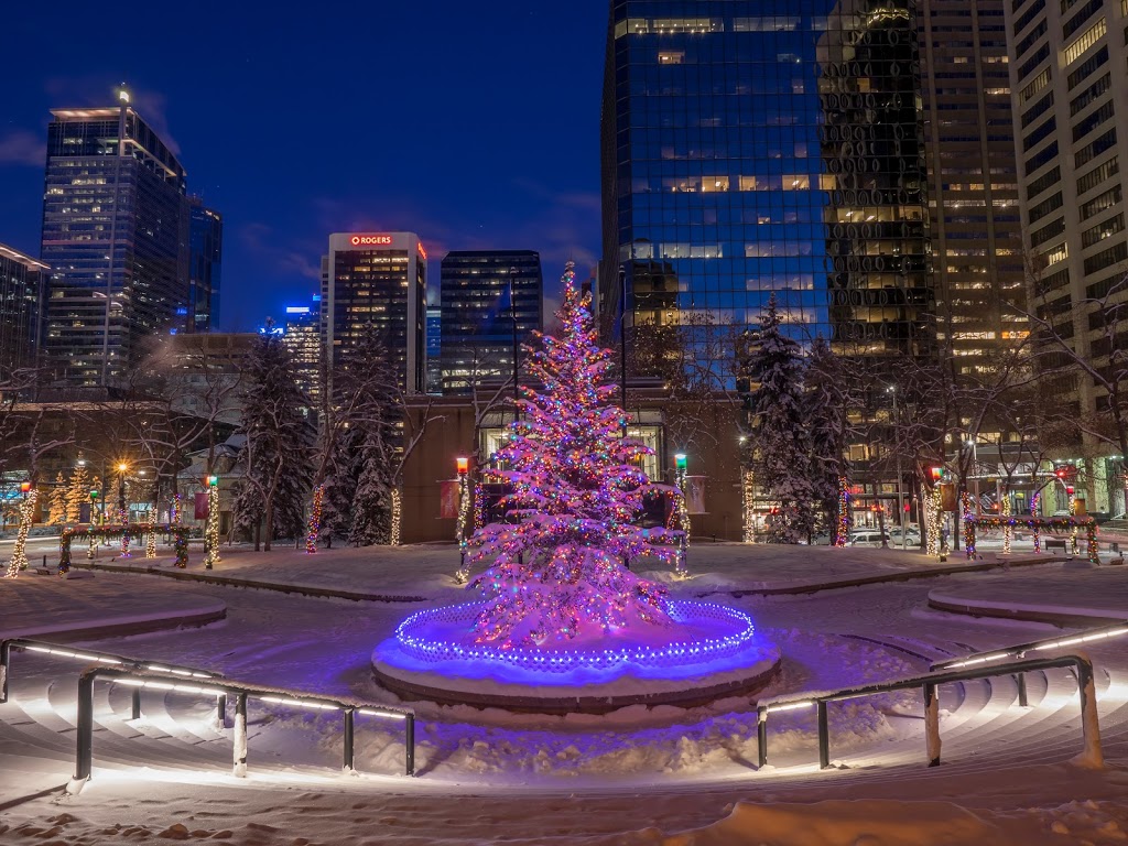 Stacey Kelley | 5149 Country Hills Blvd NW #308, Calgary, AB T3A 5K8, Canada | Phone: (403) 827-9076