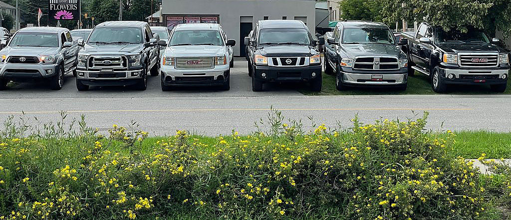 Evolution Autos Inc | 1009 Brock St S, Whitby, ON L1N 4L7, Canada | Phone: (905) 430-7222