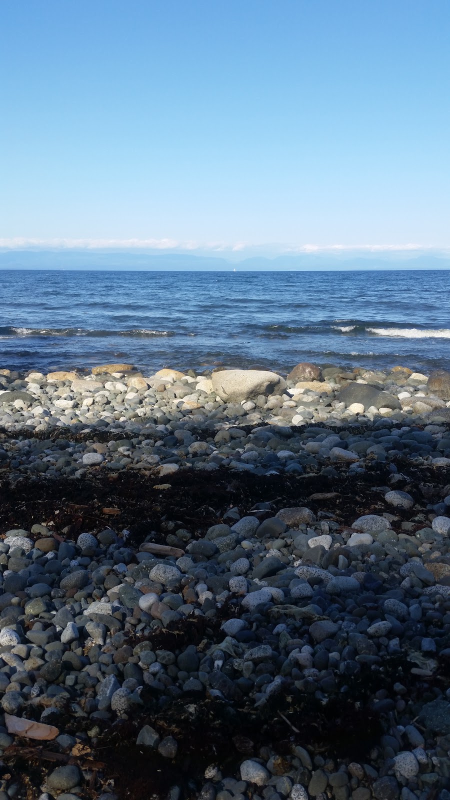 Eagles Drive Park | 6500 Eagles Dr, Courtenay, BC V9J 1V4, Canada | Phone: (250) 334-6000