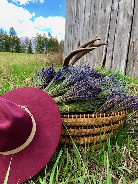 Ta Ta Creek Ranch | 6256 BC-95A, Ta Ta Creek, BC V0B 2H0, Canada | Phone: (250) 688-0466