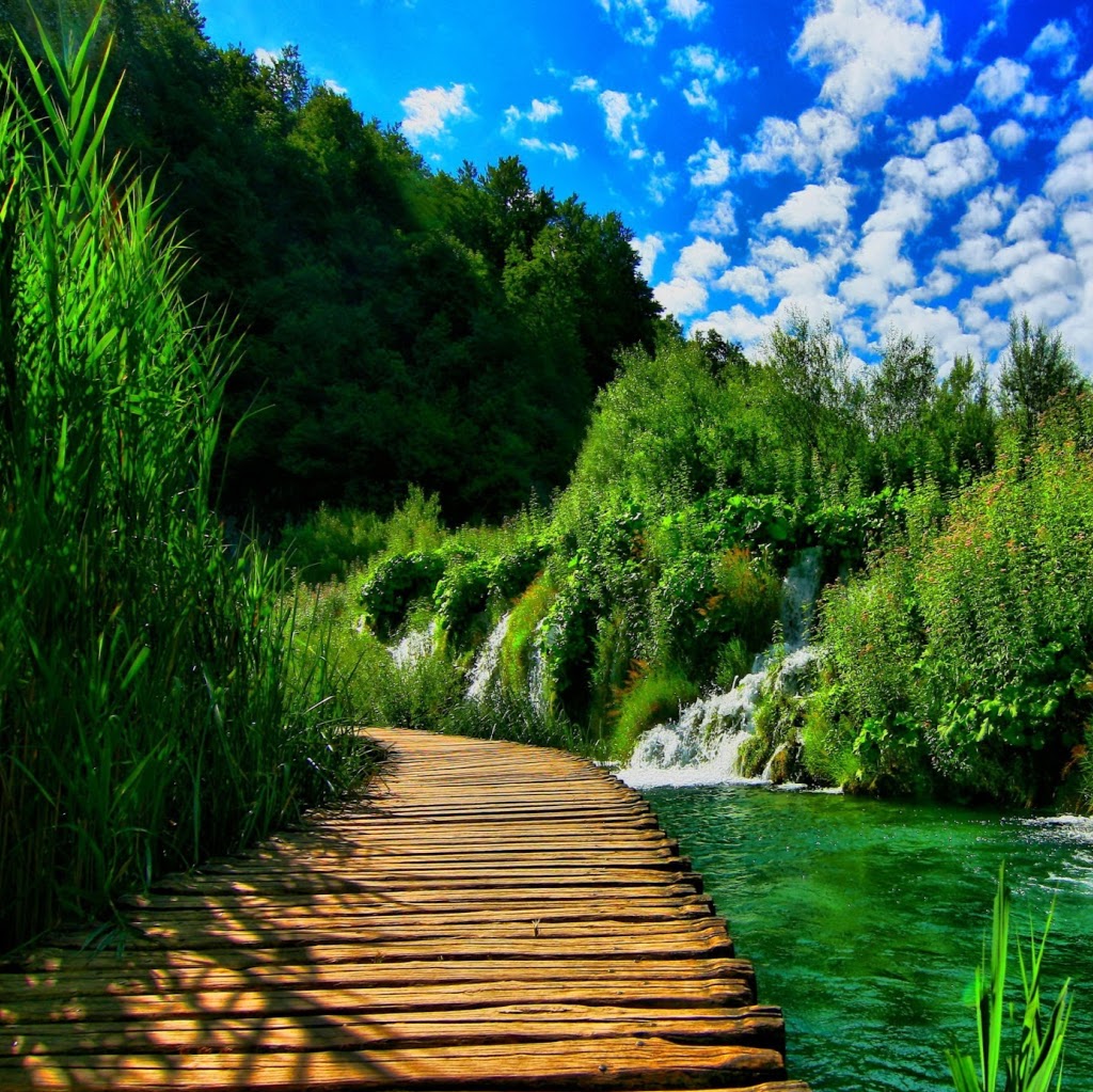 Raphah Psychotherapy & Counselling | 374 Sheppard Ave E, North York, ON M2N 3B6, Canada | Phone: (416) 712-8619