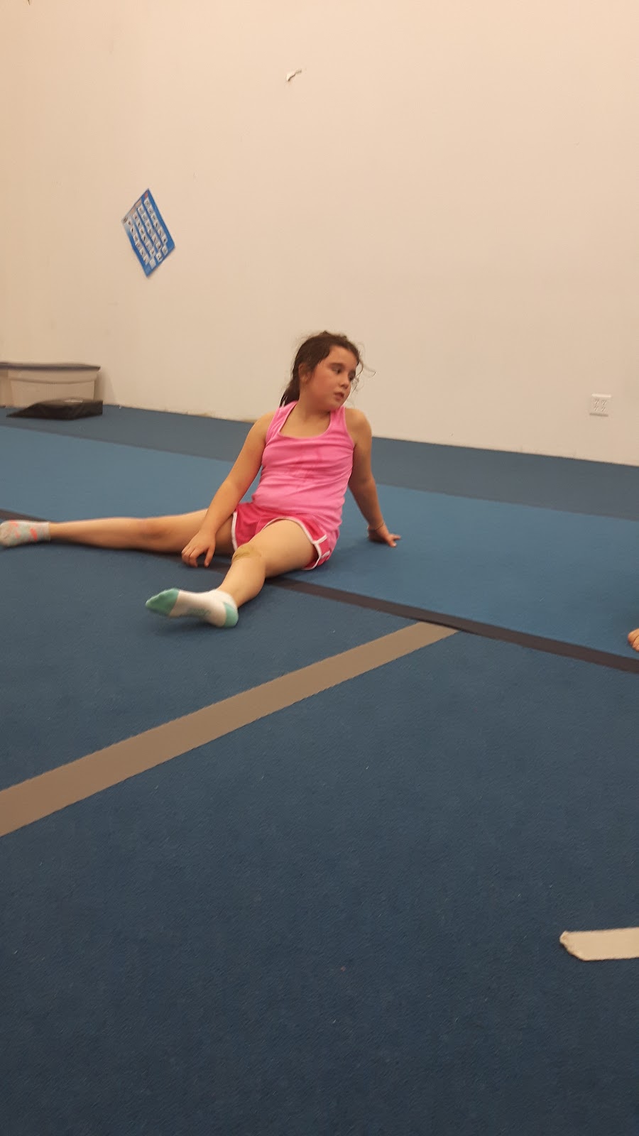 Cheer On Bears Cheerleading | 30 Arrow Rd, Guelph, ON N1K 1S6, Canada | Phone: (226) 971-1614