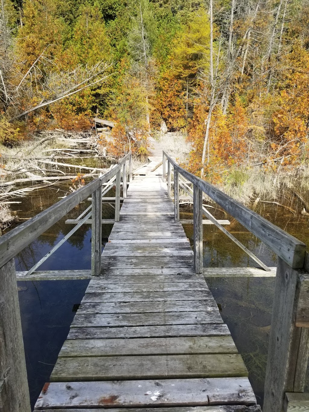Blue Springs Scout Reserve | 14009 Sixth Line Nassagaweya, Acton, ON L7J 2W8, Canada | Phone: (905) 299-2070