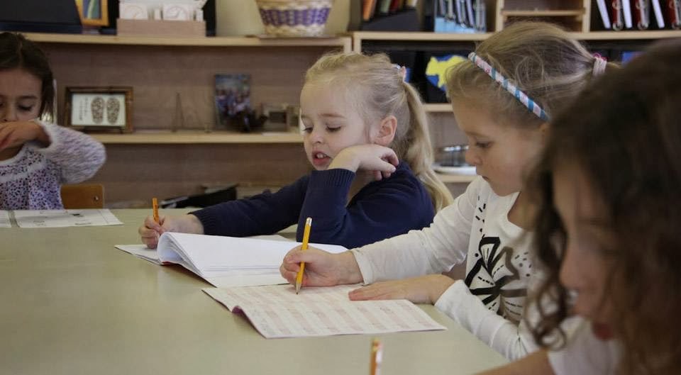 Little House Montessori School | 140 Maple St, Collingwood, ON L9Y 2P8, Canada | Phone: (705) 444-9997