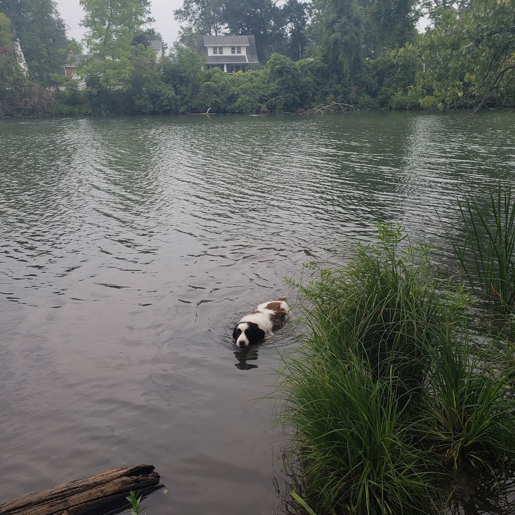 Dog Walking Island | 52 14150, 60 Creekside Dr, Tonawanda, NY 14150, USA