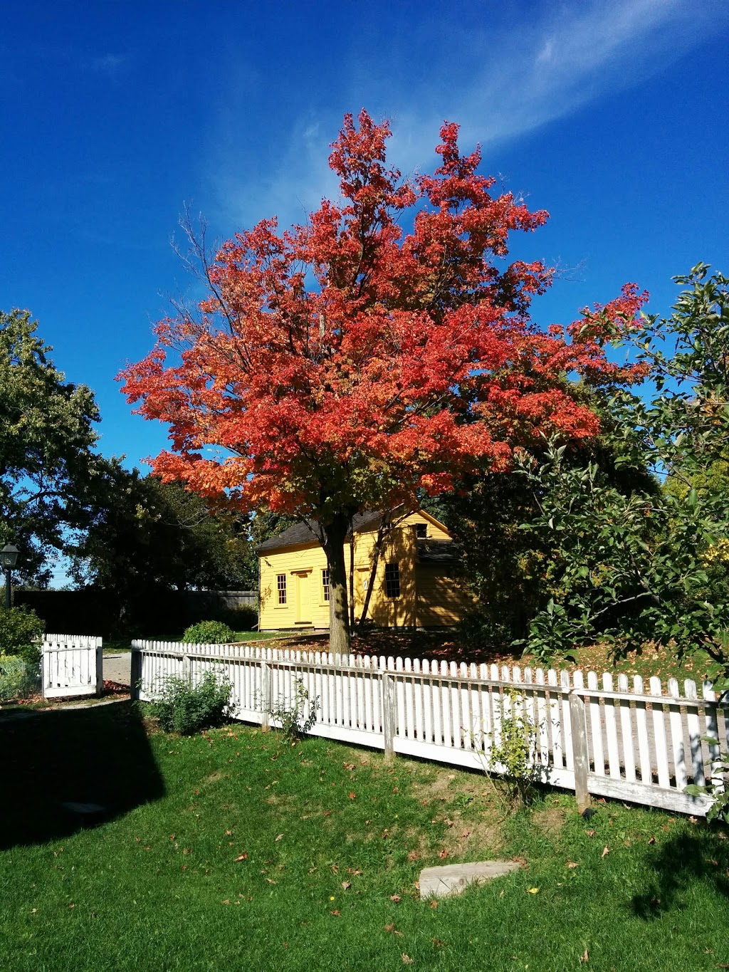 Black Creek Pioneer Village | 1000 Murray Ross Pkwy, North York, ON M3J 2P3, Canada | Phone: (416) 736-1733