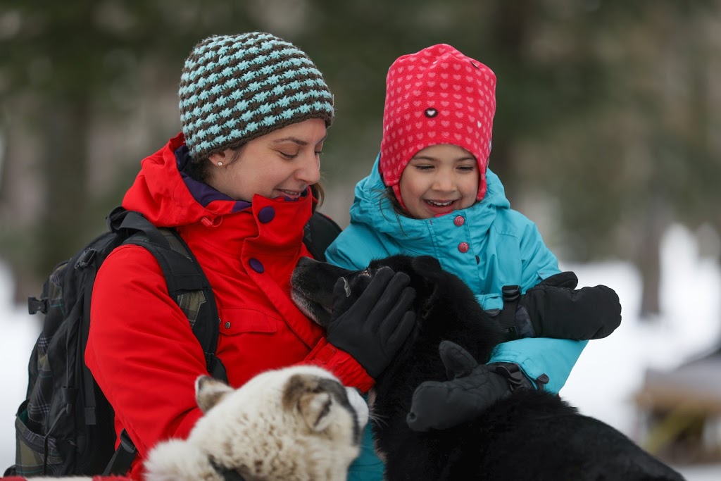 Mont-Tremblant Dogsledding | 121 Chemin de lAlbatros, Mont-Tremblant, QC J8E 1S1, Canada | Phone: (819) 681-5519
