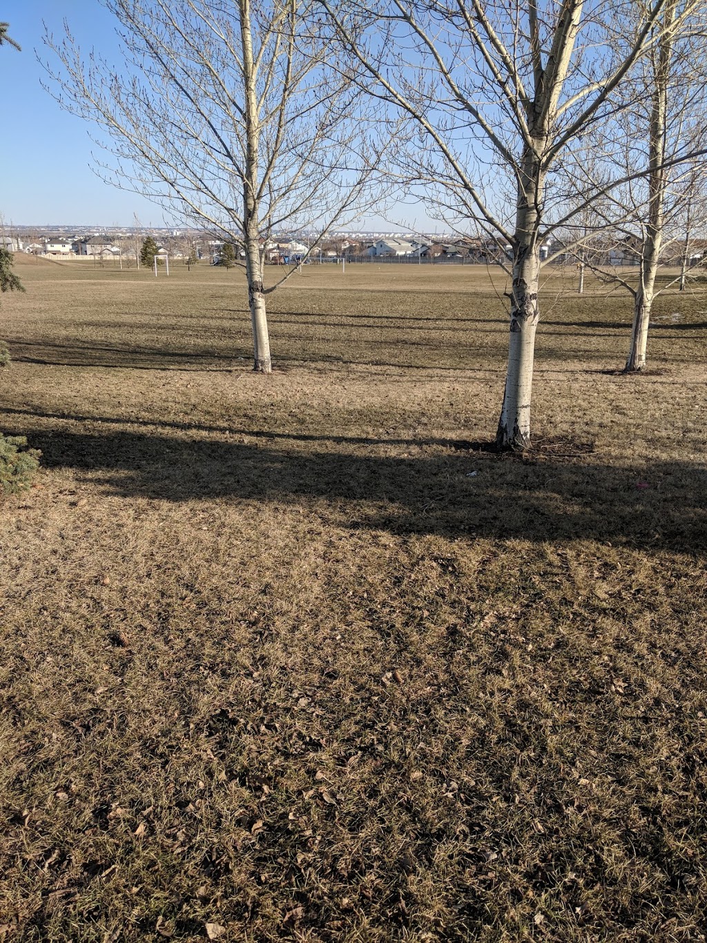 Miller Park | Matheson Way NW, Edmonton, AB T5Y 3A2, Canada
