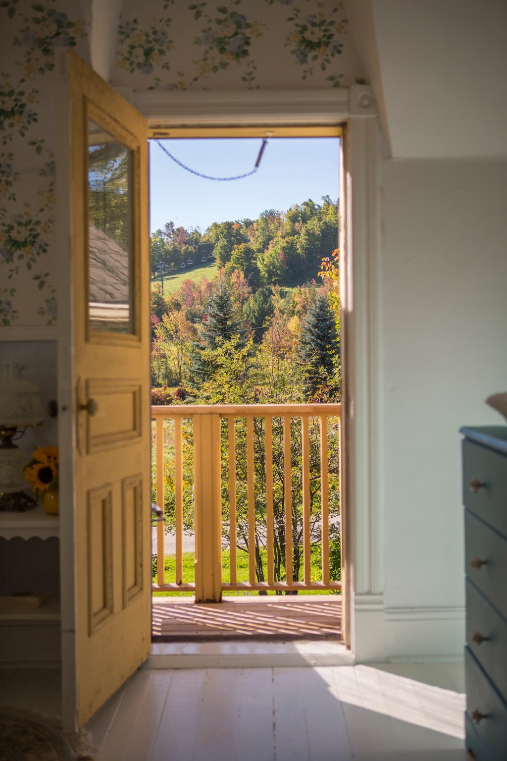 Foxingham Farm Bed & Breakfast | 648157 17 Sideroad, Mulmur, ON L9V 0V3, Canada | Phone: (705) 434-1367