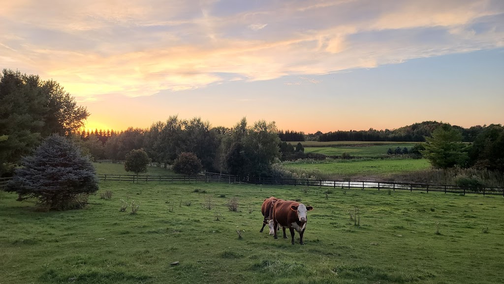 Three Brother Ranch | 343609 Ebenezer Rd, Mount Elgin, ON N0J 1N0, Canada | Phone: (226) 228-3526