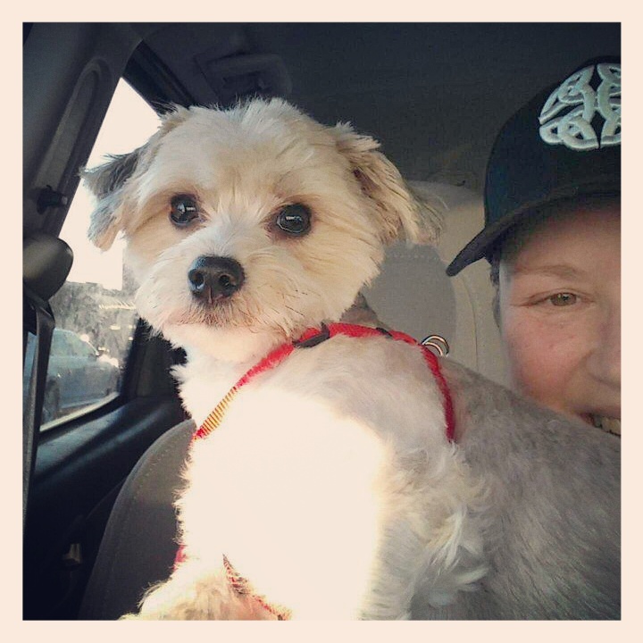 Paulmacs Pets | 4961 King St E Unit #10, Beamsville, ON L0R 1B0, Canada | Phone: (905) 563-1177