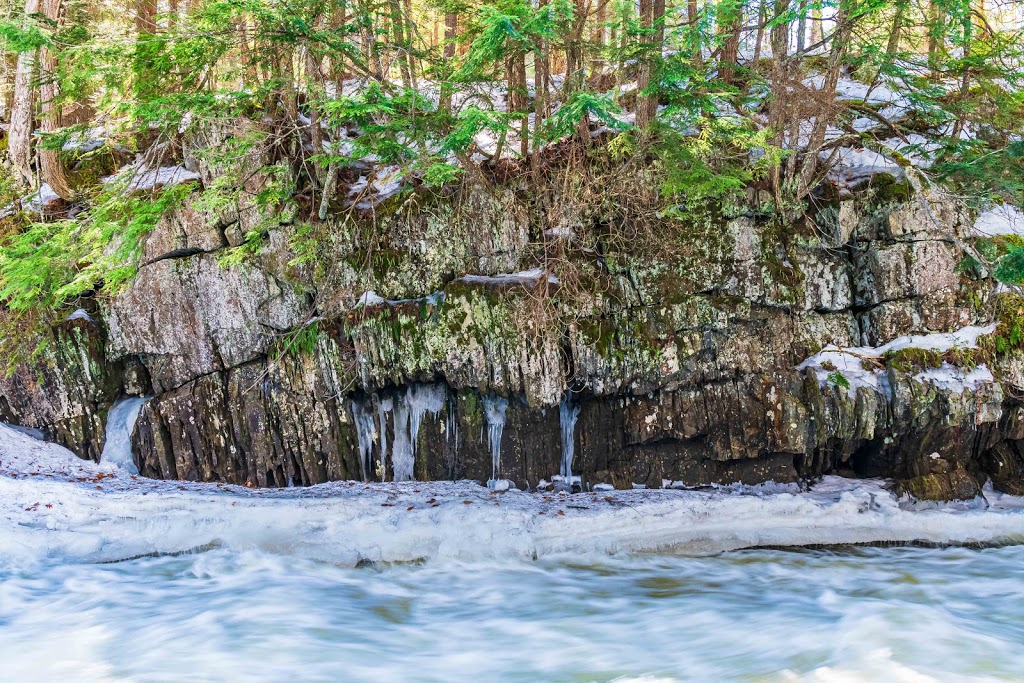The Gut Conservation Area | 2399 The South Rd, Coe Hill, ON K0L 1P0, Canada | Phone: (613) 472-3137