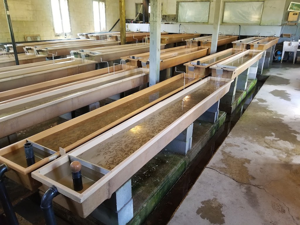 Pisciculture Lac Carre Inc | 1151 Rue Principale, Saint-Faustin--Lac-Carré, QC J0T 1J3, Canada | Phone: (819) 688-2030