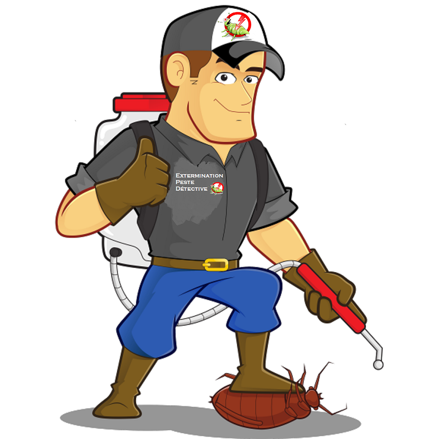 Extermination Peste Detective | 153 Rue la Fayette, Laval, QC H7G 1L9, Canada | Phone: (514) 222-9594