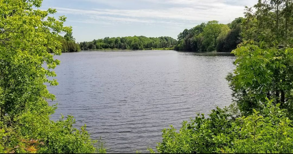 Holstein Dam and Jubilee Park | Holstein, ON N0G 2A0, Canada