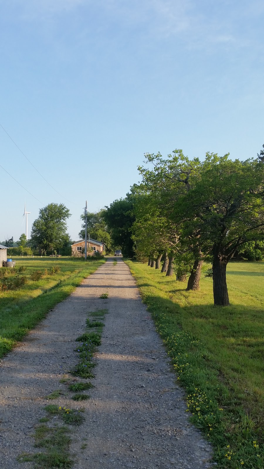 Bains Road Cider Company | 1019 Bains Rd, Dunnville, ON N1A 2W8, Canada | Phone: (905) 979-5230