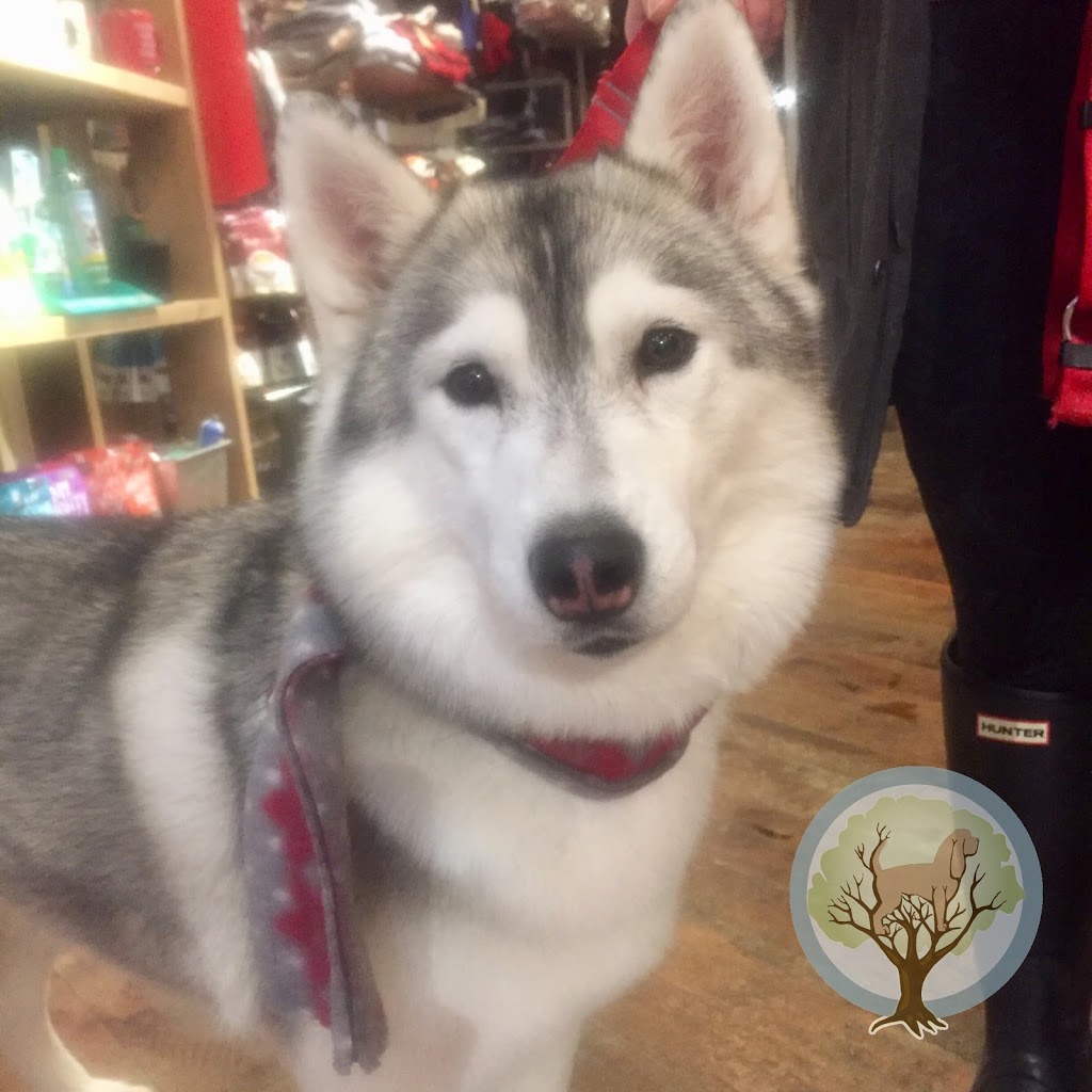 BauHound Haus Inc. | 276 Main St E, Milton, ON L9T 1P3, Canada | Phone: (905) 878-5550